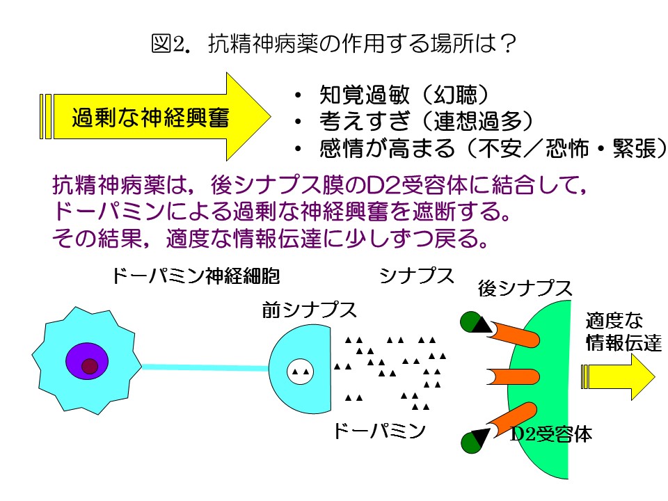 図2抗精神病薬の作用する場所